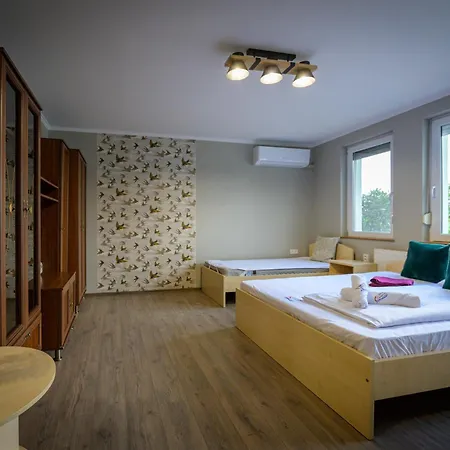 Diofa Vendeghaz Békésszentandrás