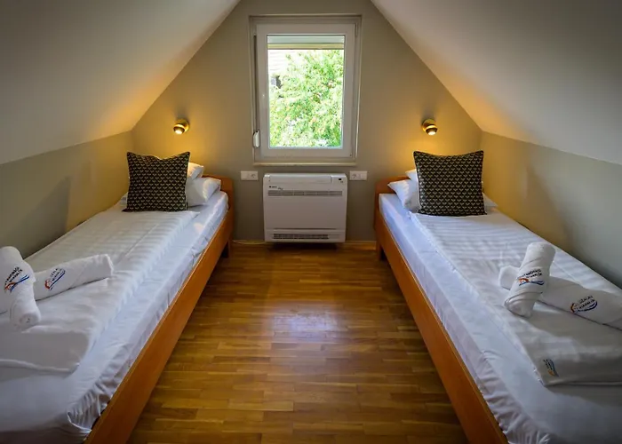 Diofa Vendeghaz * Békésszentandrás