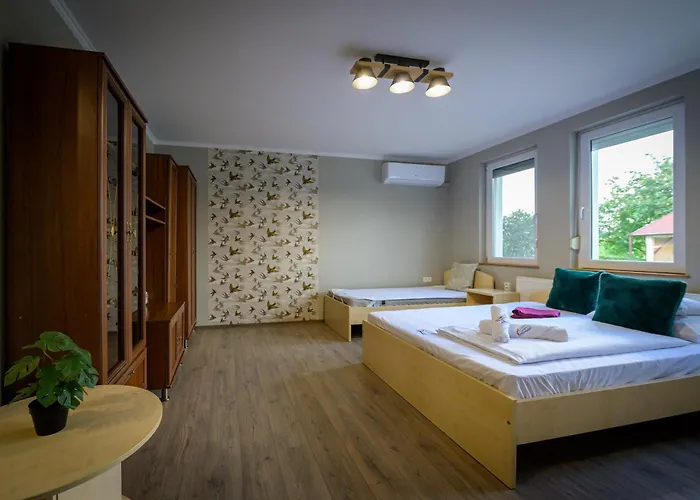 Diofa Vendeghaz Békésszentandrás